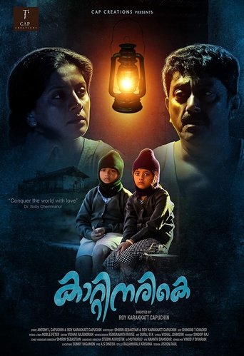 Poster of Kaatinarike