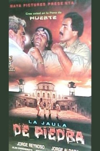 Poster of La jaula de piedra