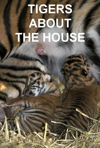 Poster of Tigers About the House