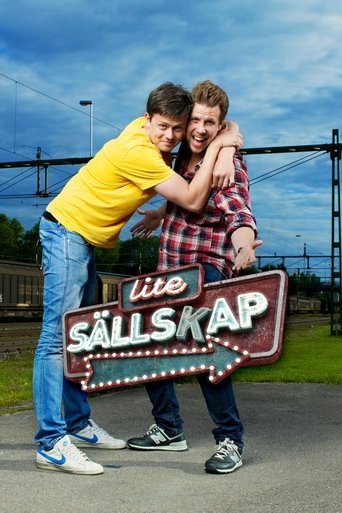 Poster of Lite sällskap