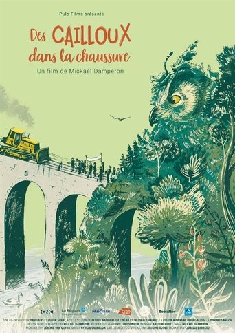 Poster of Des cailloux dans la chaussure