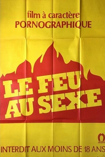Poster of Le feu au sexe