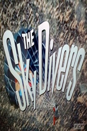 Poster of The Sky Divers