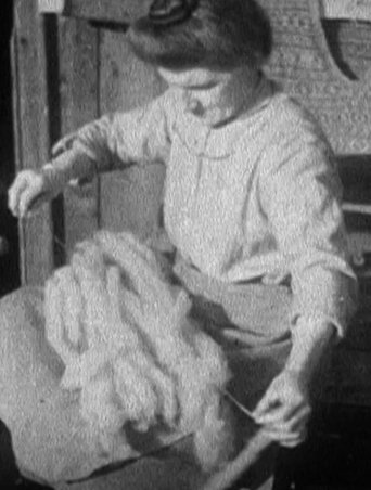 Poster of In Sheep’s Clothing