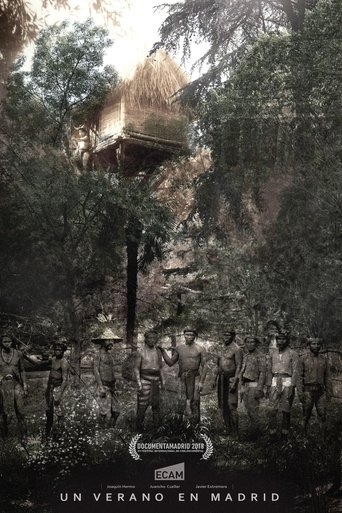 Poster of A Summer in Madrid