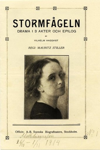 Poster of Stormfågeln