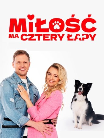 Poster of Miłość ma cztery łapy
