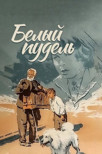 Poster of The White Poodle