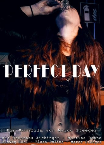 Poster of Perfect Day