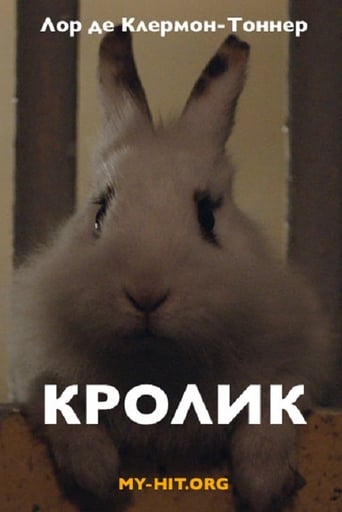 Poster of Rabbit