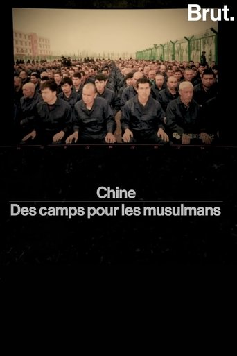 Poster of chine——des camps pour les musulmans
