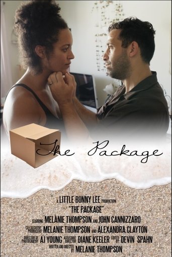Poster of The Package
