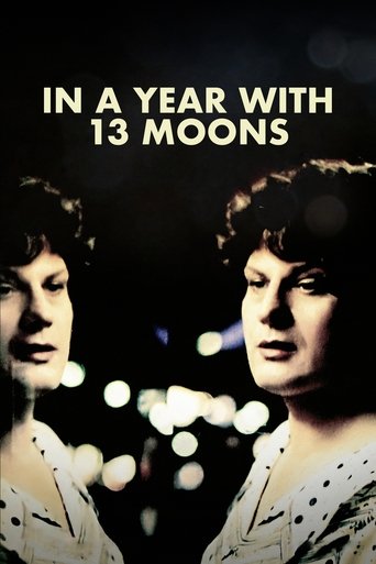 Poster of In a Year with 13 Moons