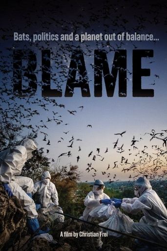 Poster of Blame