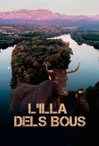 Poster of L'illa dels bous