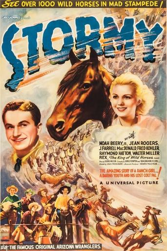 Poster of Stormy