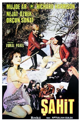 Poster of Şahit