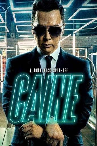 Poster of From the World of John Wick: Caine