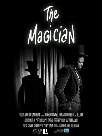 Poster of Le Magicien