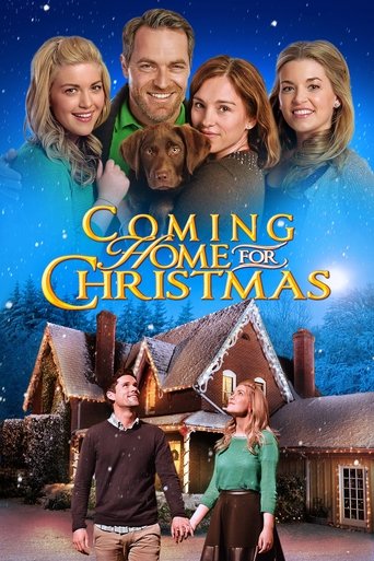 Poster of Coming Home for Christmas