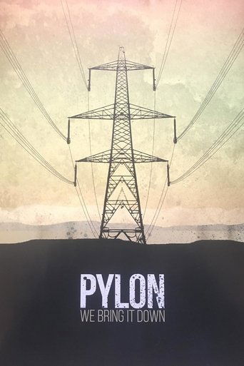 Poster of Pylon