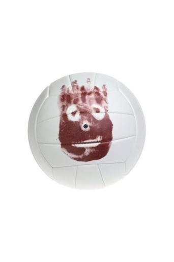 Portrait of Wilson the Volleyball