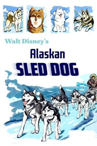 Poster of Alaskan Sled Dog