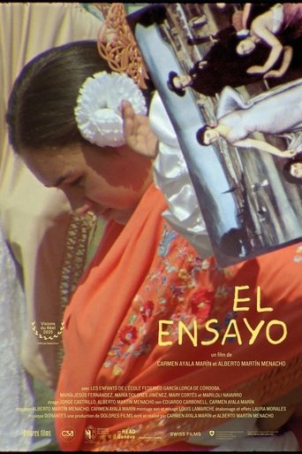 Poster of The Essay