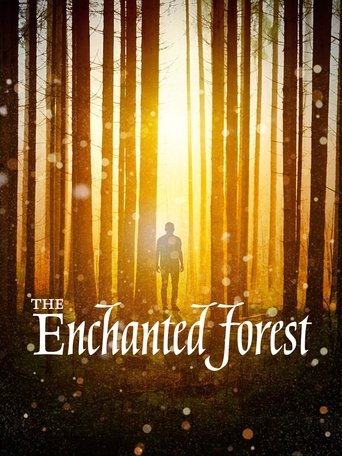 Poster of The Enchanted Forest