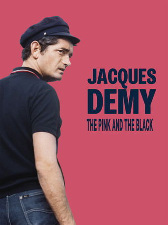 Poster of Jacques Demy: The Pink and the Black