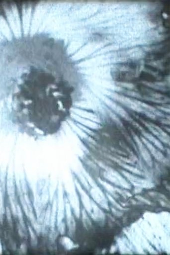 Poster of Solarization