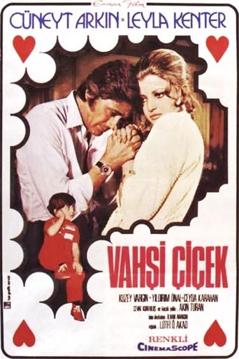 Poster of Vahşi Çiçek