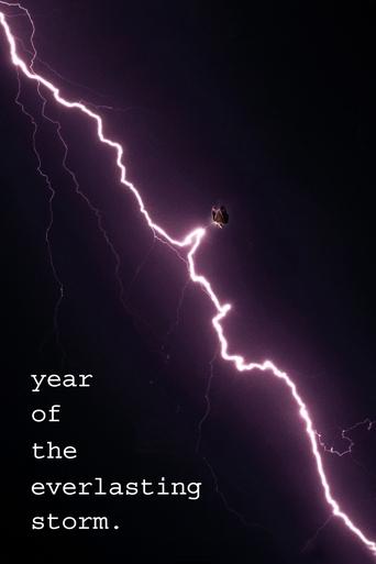 Poster of The Year of the Everlasting Storm