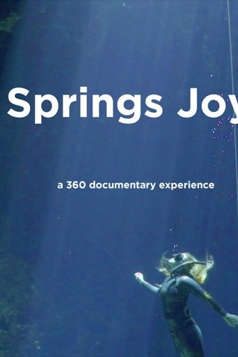 Poster of Springs Joy