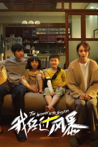 Poster of The Woman in the Storm