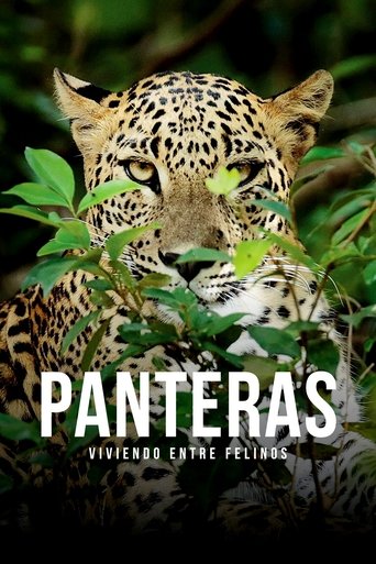 Poster of Panteras: viviendo entre felinos