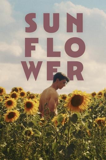 Poster of Sunflower