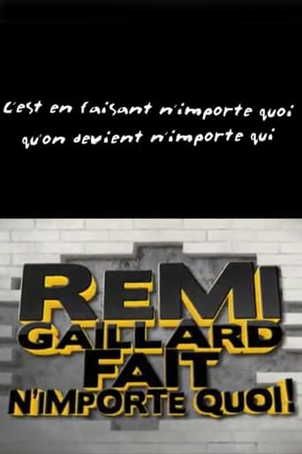 Poster of Rémi Gaillard fait n'importe quoi!