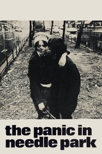 Poster of The Panic in Needle Park