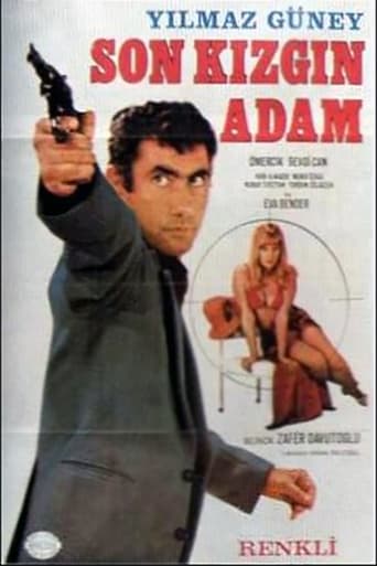 Poster of Son Kızgın Adam