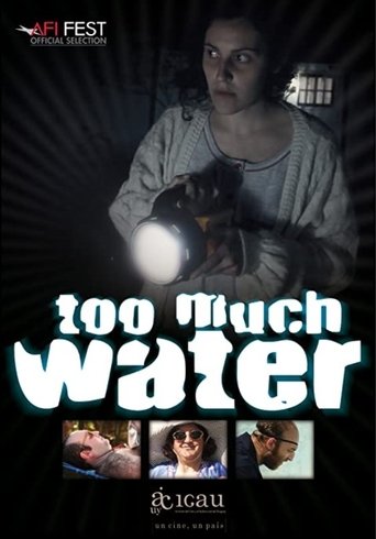 Poster of Too Much Water