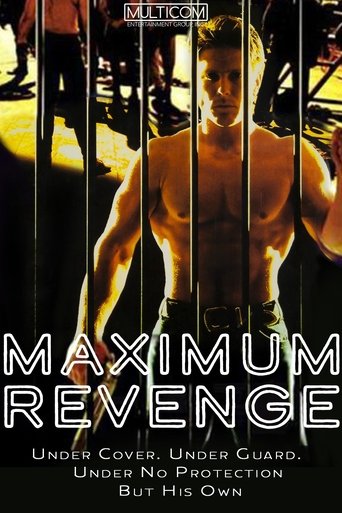 Poster of Maximum Security