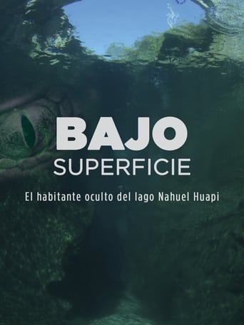 Poster of Bajo superficie