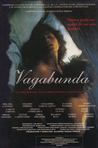 Poster of Vagabunda