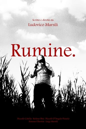 Poster of Rumine.