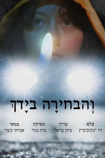 Poster of The choice
