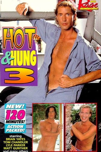 Poster of Hot & Hung 3
