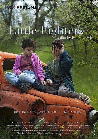 Poster of Little Fighters