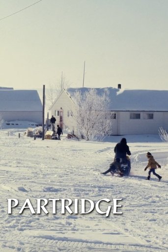 Poster of Partridge