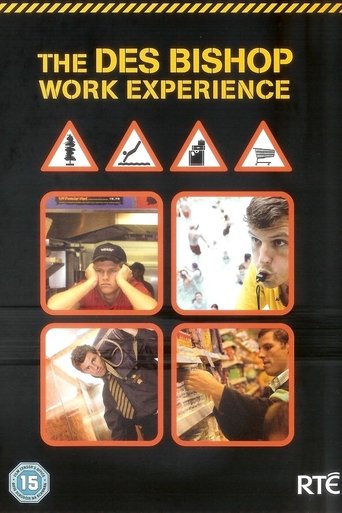 Poster of The Des Bishop Work Experience